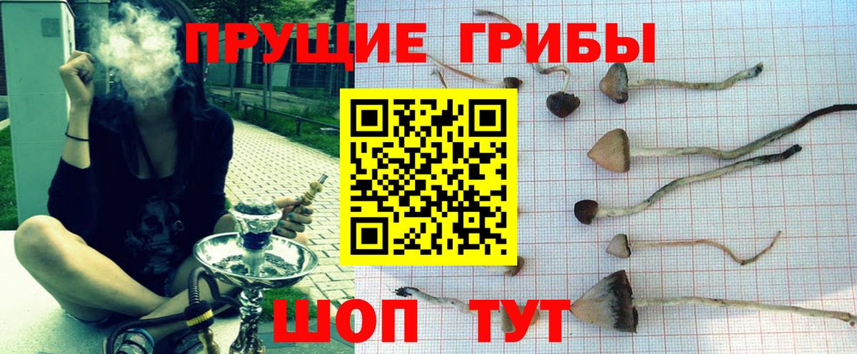 Псилоцибиновые грибы Psilocybine cubensis  Галлюциногенные грибы Psilocybine cubensis  Арсеньев  Вход с VPN 